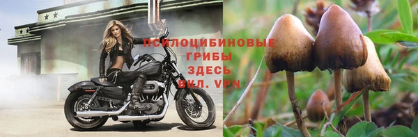 соль ск Медногорск